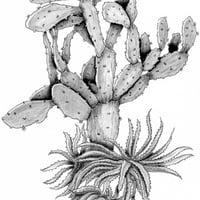 img002.jpg